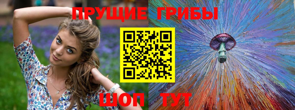 Псилоцибиновые грибы Psilocybine cubensis  Псилоцибиновые грибы прущие грибы  закладка  Вход с VPN  Нерюнгри 