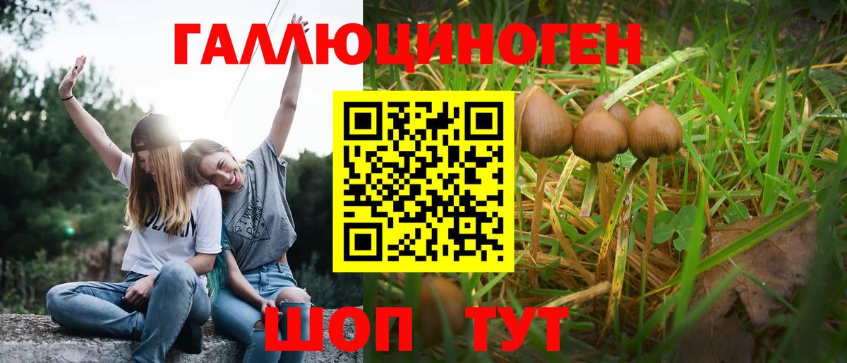 Псилоцибиновые грибы Magic Shrooms Нерюнгри